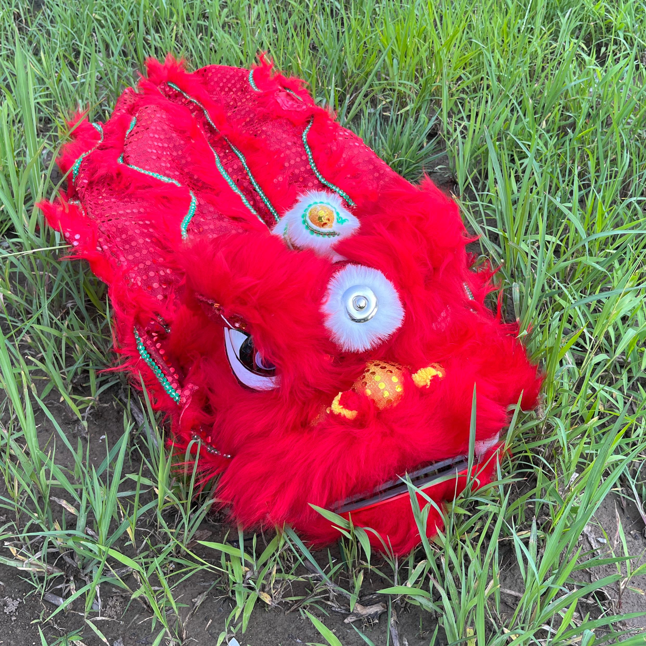14 inch Lion Dance Costume Ro - Outdoor Sport Festival のレビューと価格